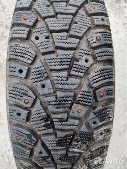 Matador MP 51 Sibir 2 195/65 R15