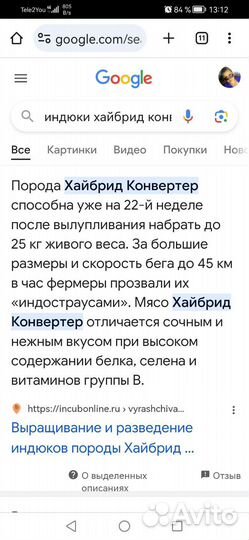 Индюки на мясо