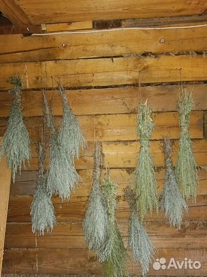 Веники для бани