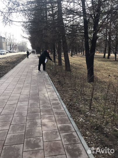 Продажа семян для газонов