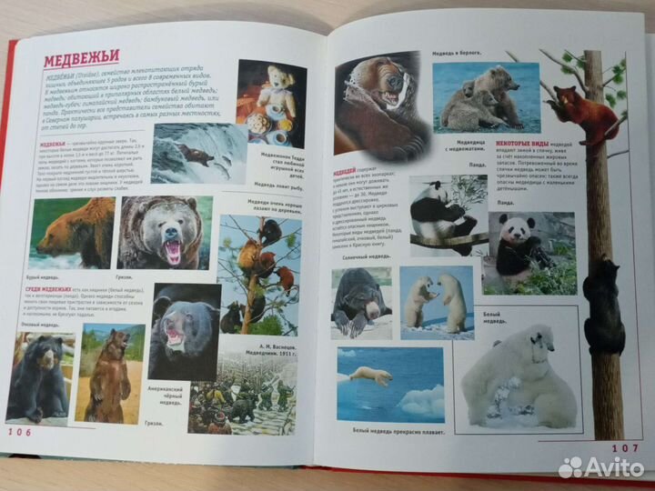 Детская энциклопедия