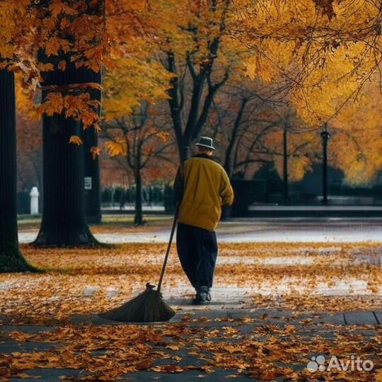 Дворник (подработка)