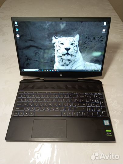 HP на стиле GTX 1660 Ti + core i5-9300H