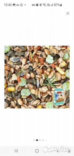 Корм для грызунов (морские свинки, белки и т.д.)