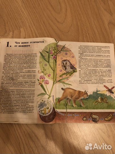 Учебник биологии 6 класс