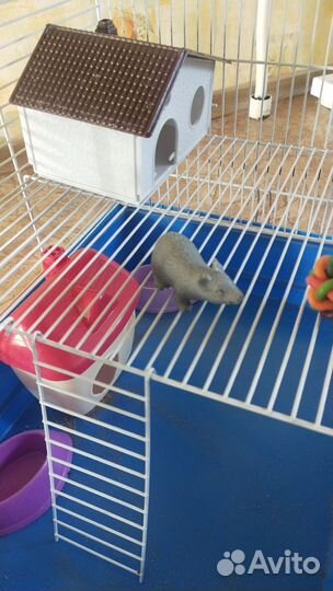 Клетка для грызунов двухэтажная