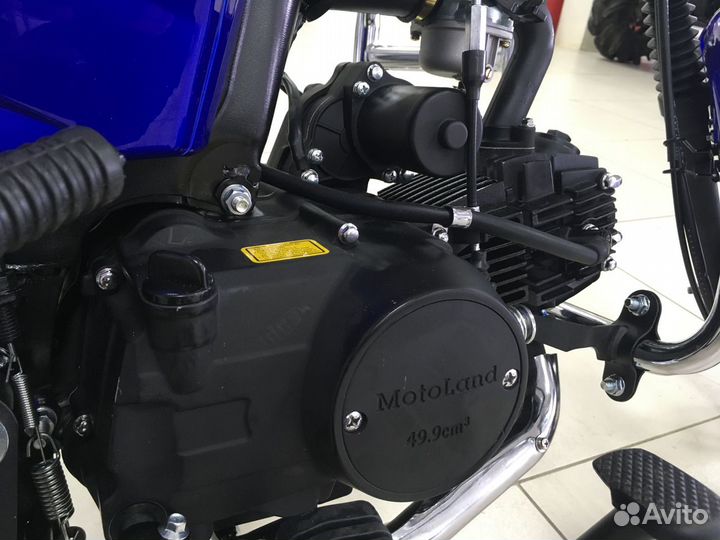 Мопед Motoland Alpha RX11 / Мотоленд Альфа