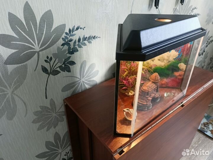 Аквариум с подсветкой