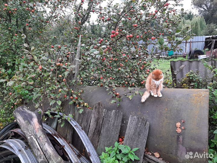 Бочка/цистерна/резервуар