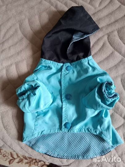 Плащ для маленькой собачки