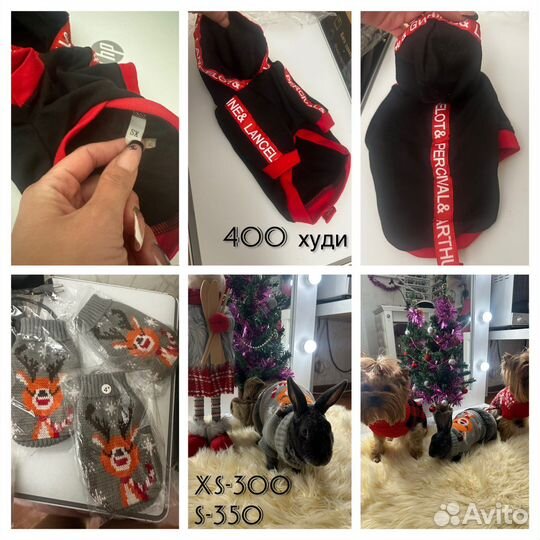 Пальто для собак худи