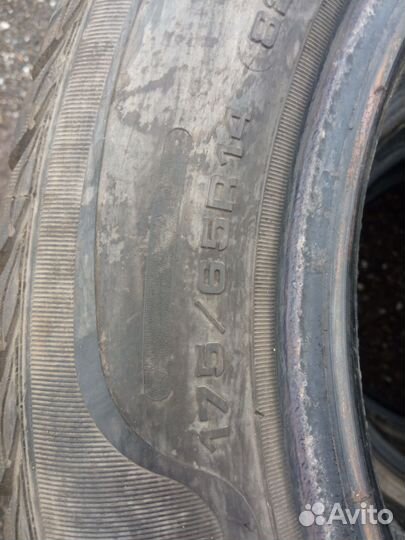 Sava Eskimo Stud 175/65 R14 T