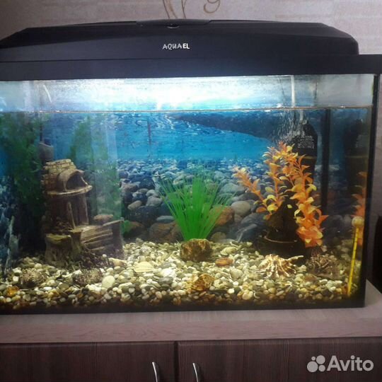 Аквариум