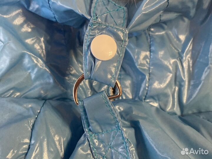 Костюм для собаки