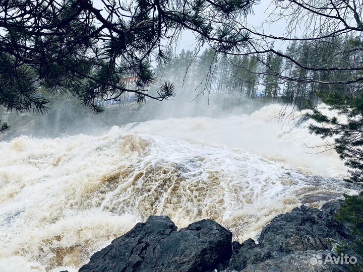 Индивидуальные туры по Карелии, Рыбалка, Охота