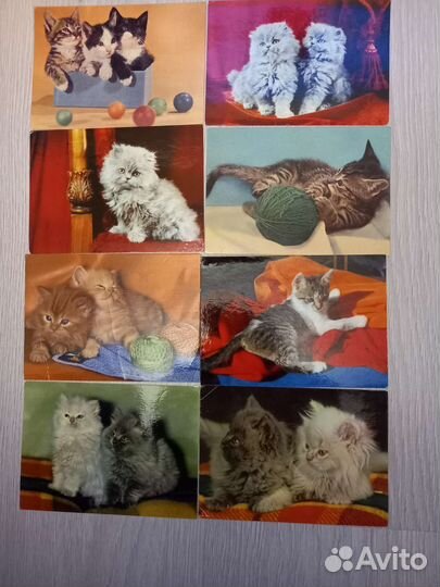 Открытки ГДР, котята. Винтаж