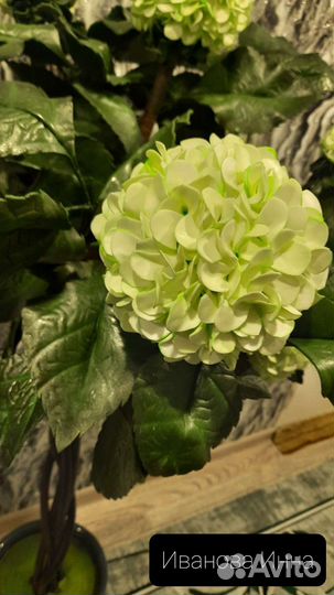 Светильник бульданеш