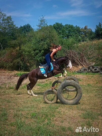 Конные прогулки, фотосессии