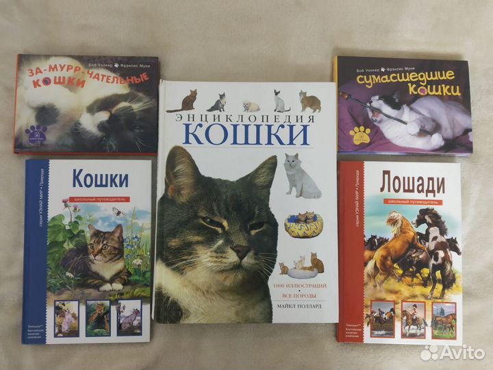 Книги (обновление)