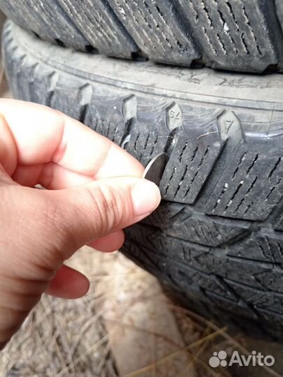 Nexen Winguard Ice Plus 185/65 R15
