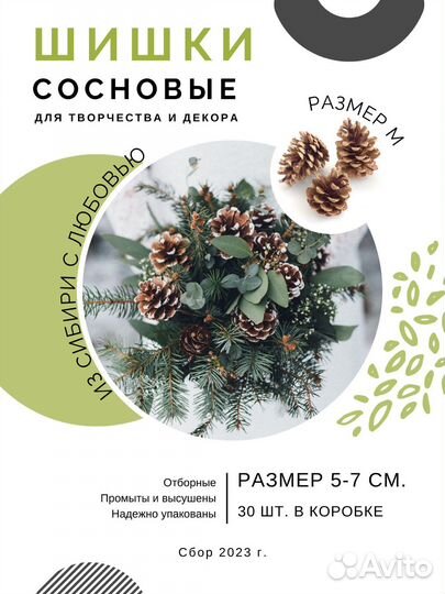 Шишки сосновые