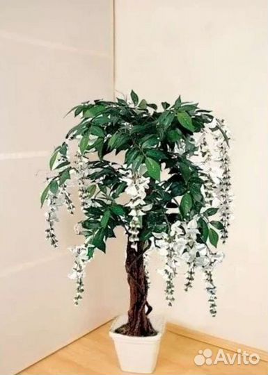 Озеленение в интерьере