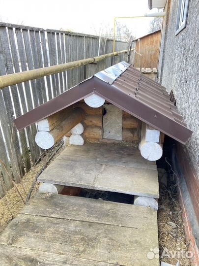 Будка для собаки