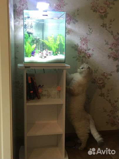 Тумба под аквариум