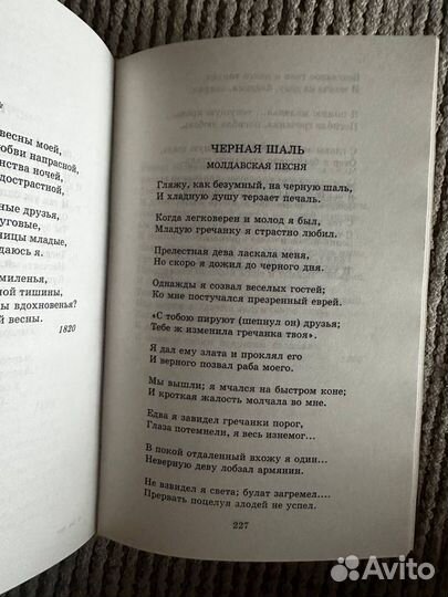 А.С.Пушкин Евгений Онегин стихотворения поэмы