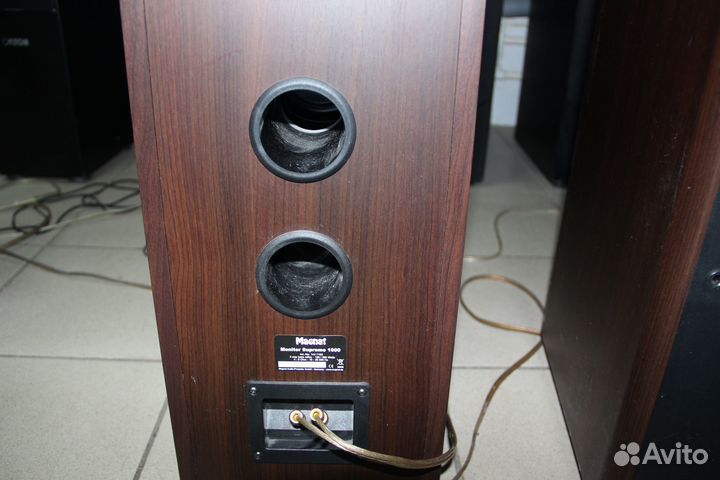 Колонки акустические magnat monitor supreme 1000
