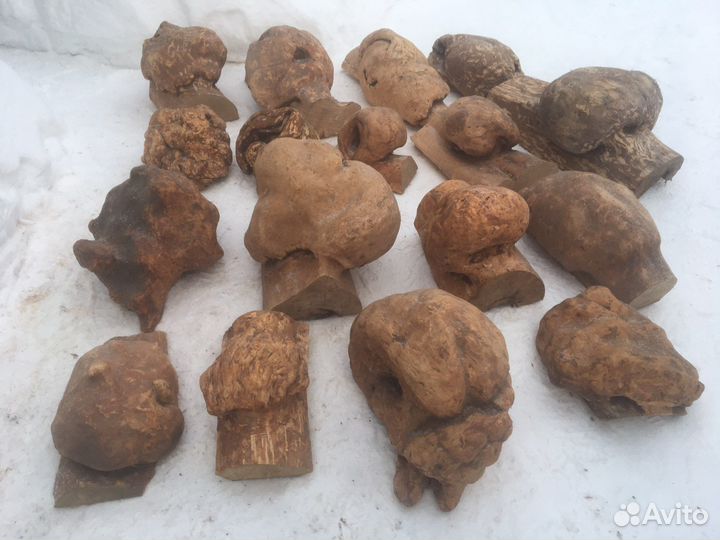 Кап Сувель Березовый сухой