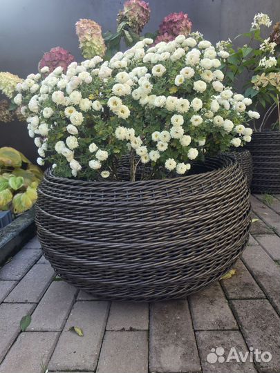 Кашпо из ротанга