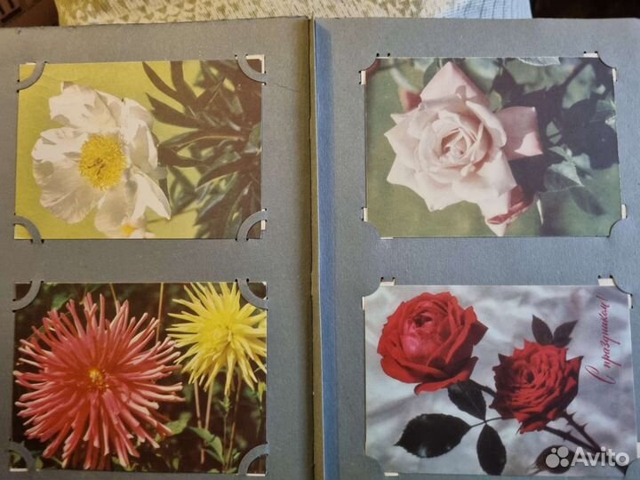 Альбом с открытками СССР