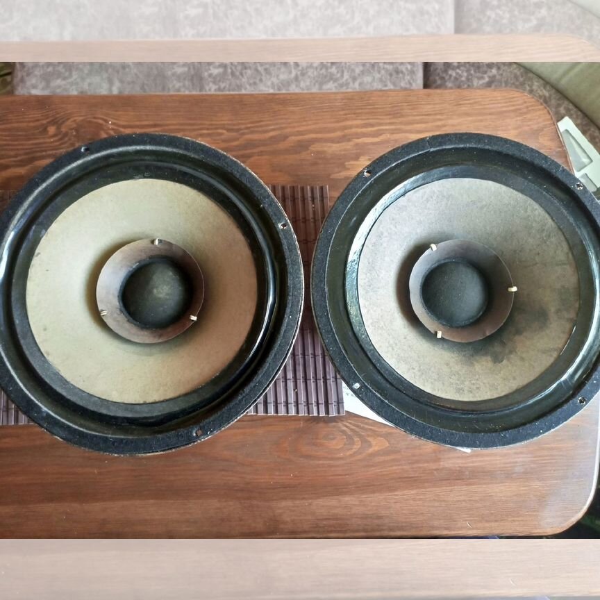 goodmans Купить колонки и сабвуферы 🔊 во всех регионах с