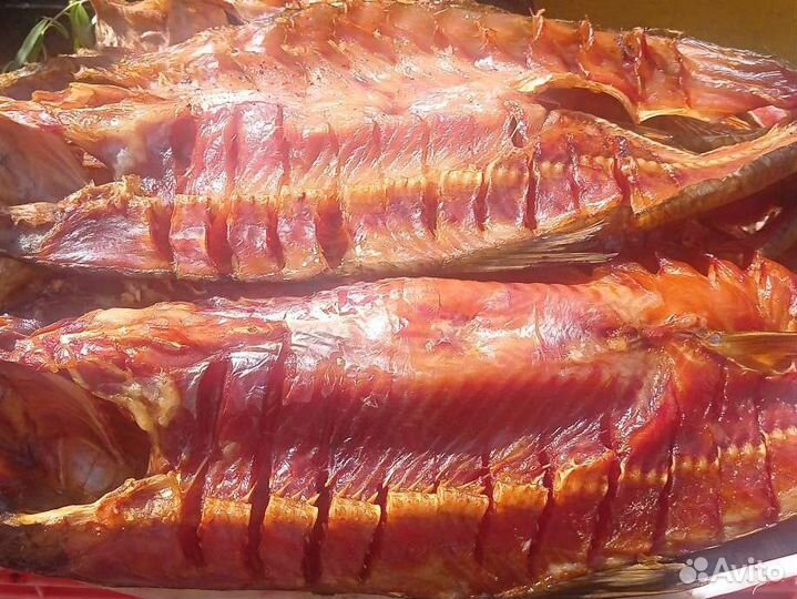 Рыба горячего, холодного копчения