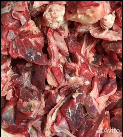 Мясо для собак и кошек, обрезь говяжья