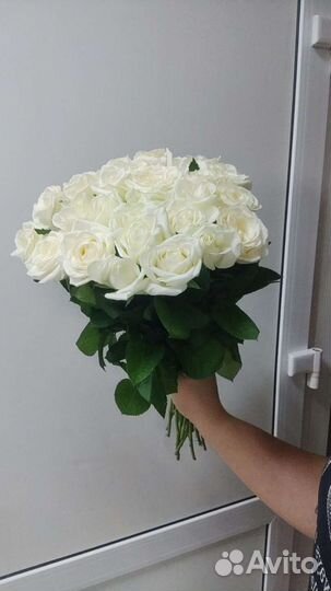 Голландская роза от производителя