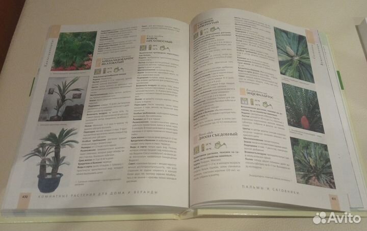 Комнатные растения энциклопедия