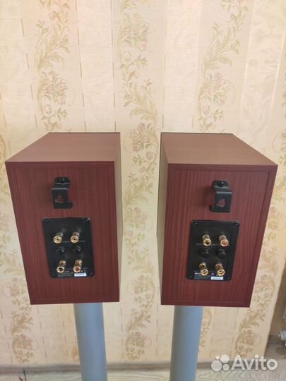 Колонки Kef Q100