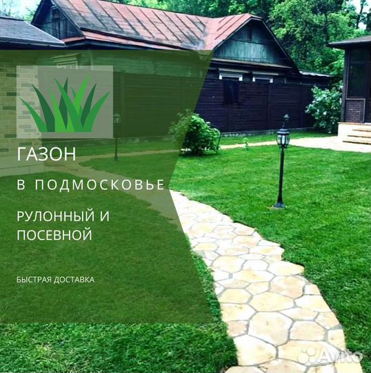 Рулонный газон, газон посевной