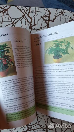 Книга Комнатные растения