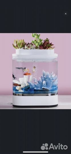 Акваферма xiaomi мини аквариум