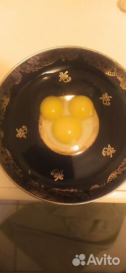 Яйца перепелиные