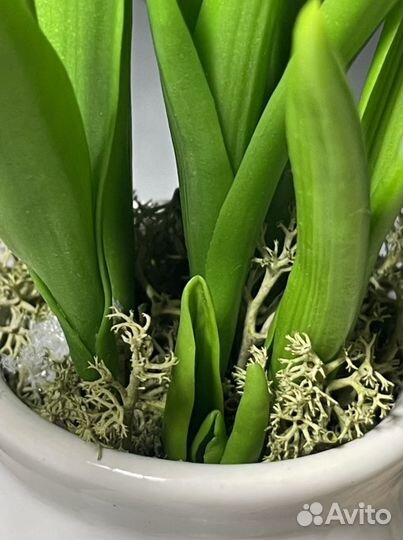 Подарок цветы Подснежники из холодного фарфора руч