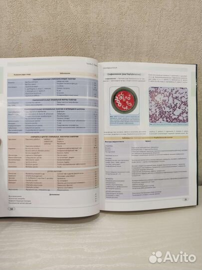 Атлас Воробьева микробиолог вирусолог иммунолог