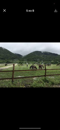 Участок 6 сот. (СНТ, ДНП)