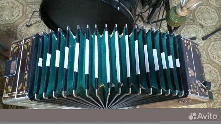 Гармонь любительская