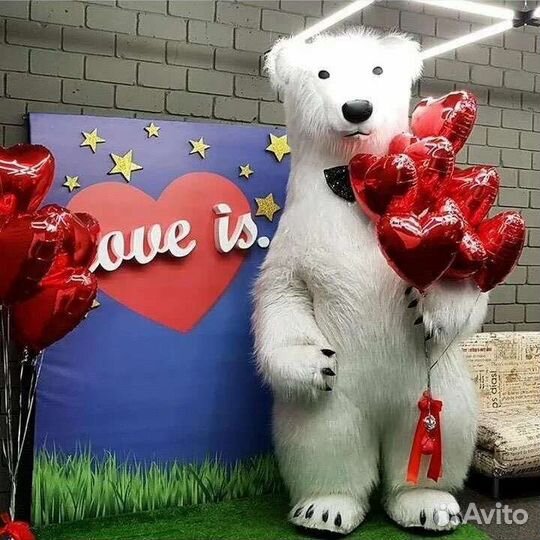 Ростовая кукла мишка, живая открытка,стриптиз