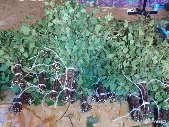 Веники для бани 2024