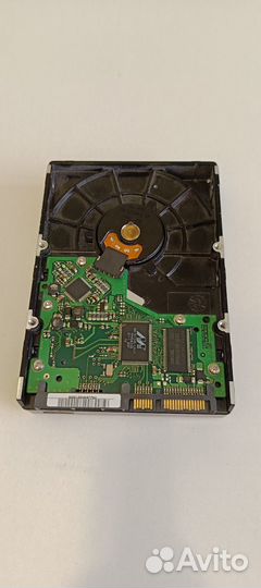 Жесткий диск Samsung